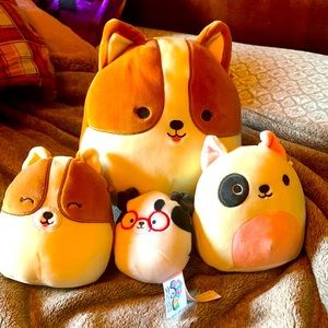 Squishmallow dog bundle Dustin clip not included
